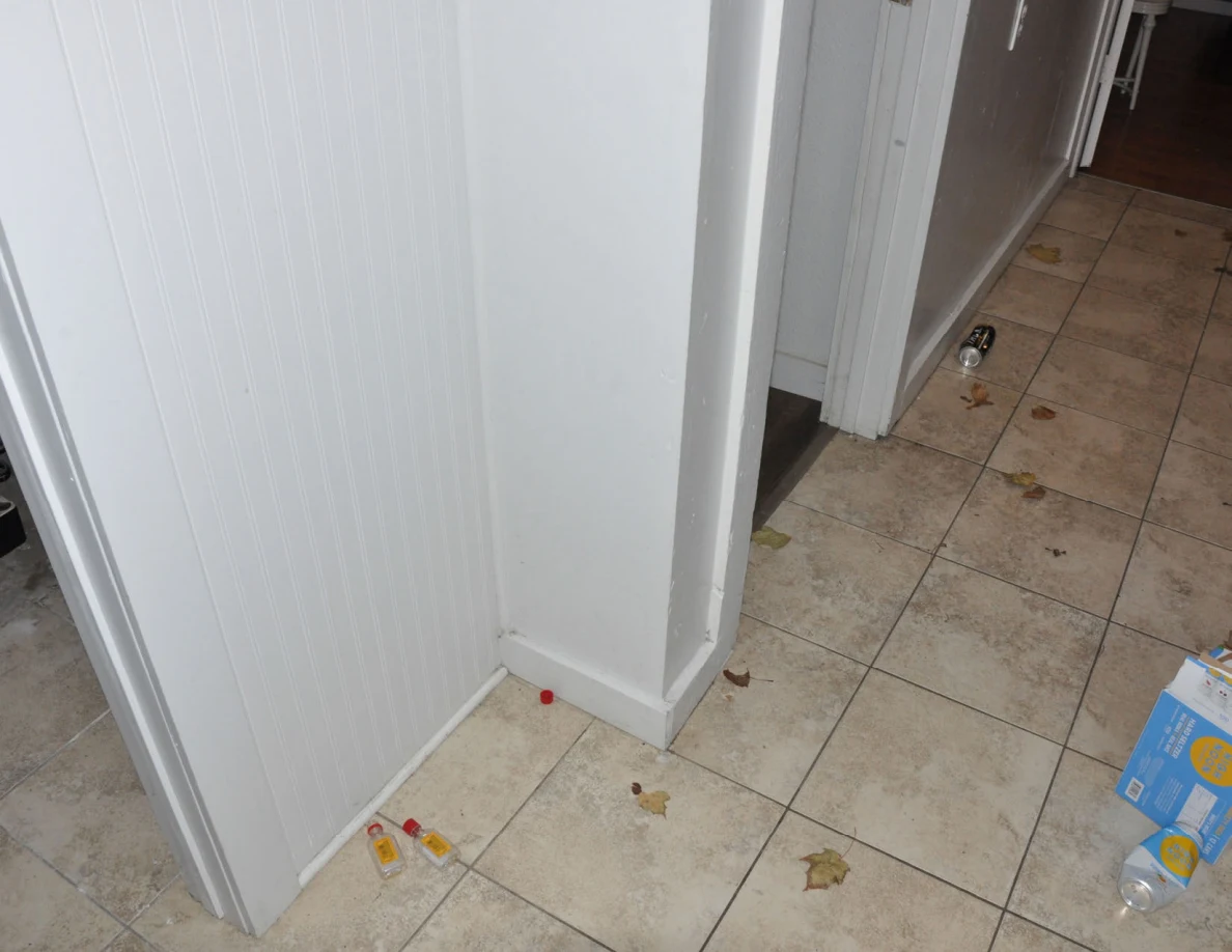 Tiled hall corner with small bottles, a red cap, dry leaves and an open carton.