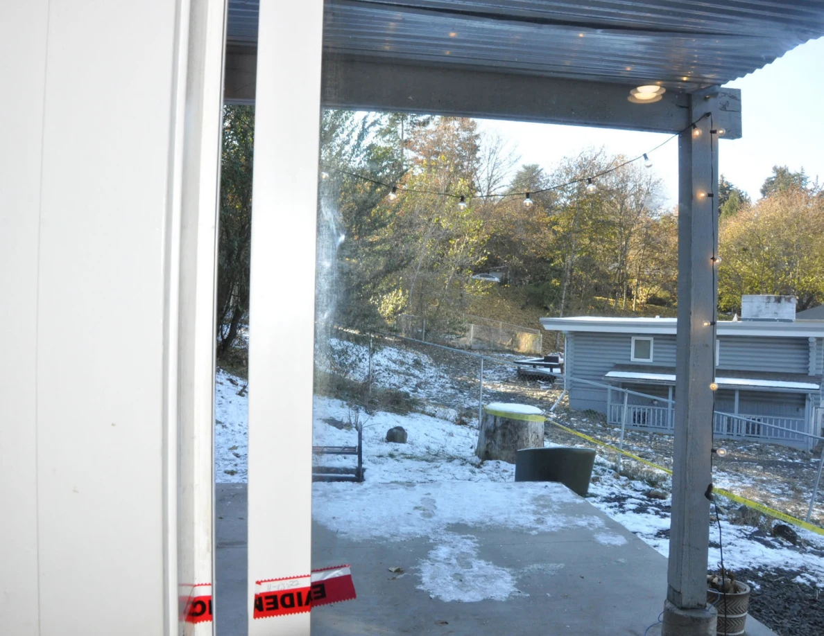 View through a sliding glass door toward deck supports, trees and snow.