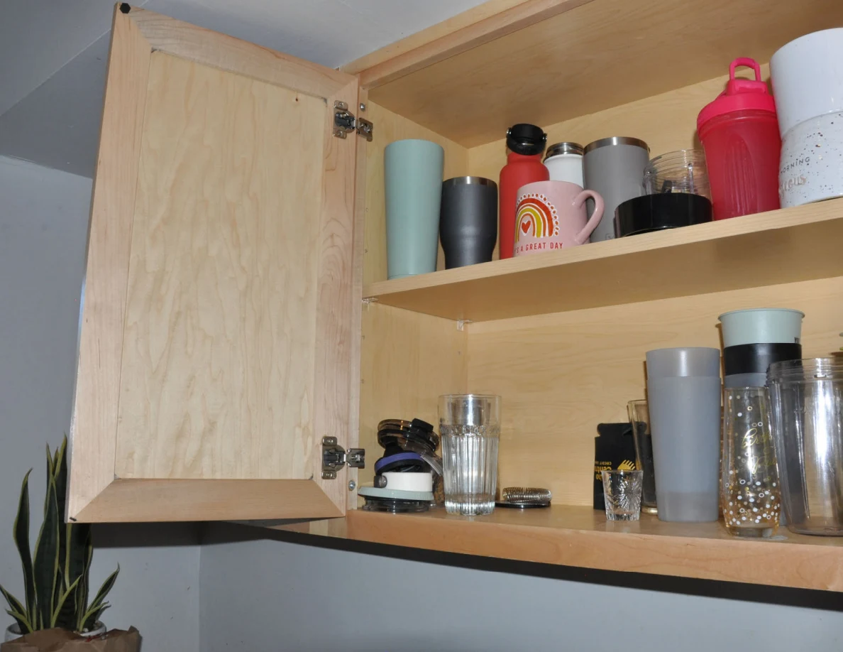 Open cabinet displaying assorted mugs, tumblers and glasses on two shelves.