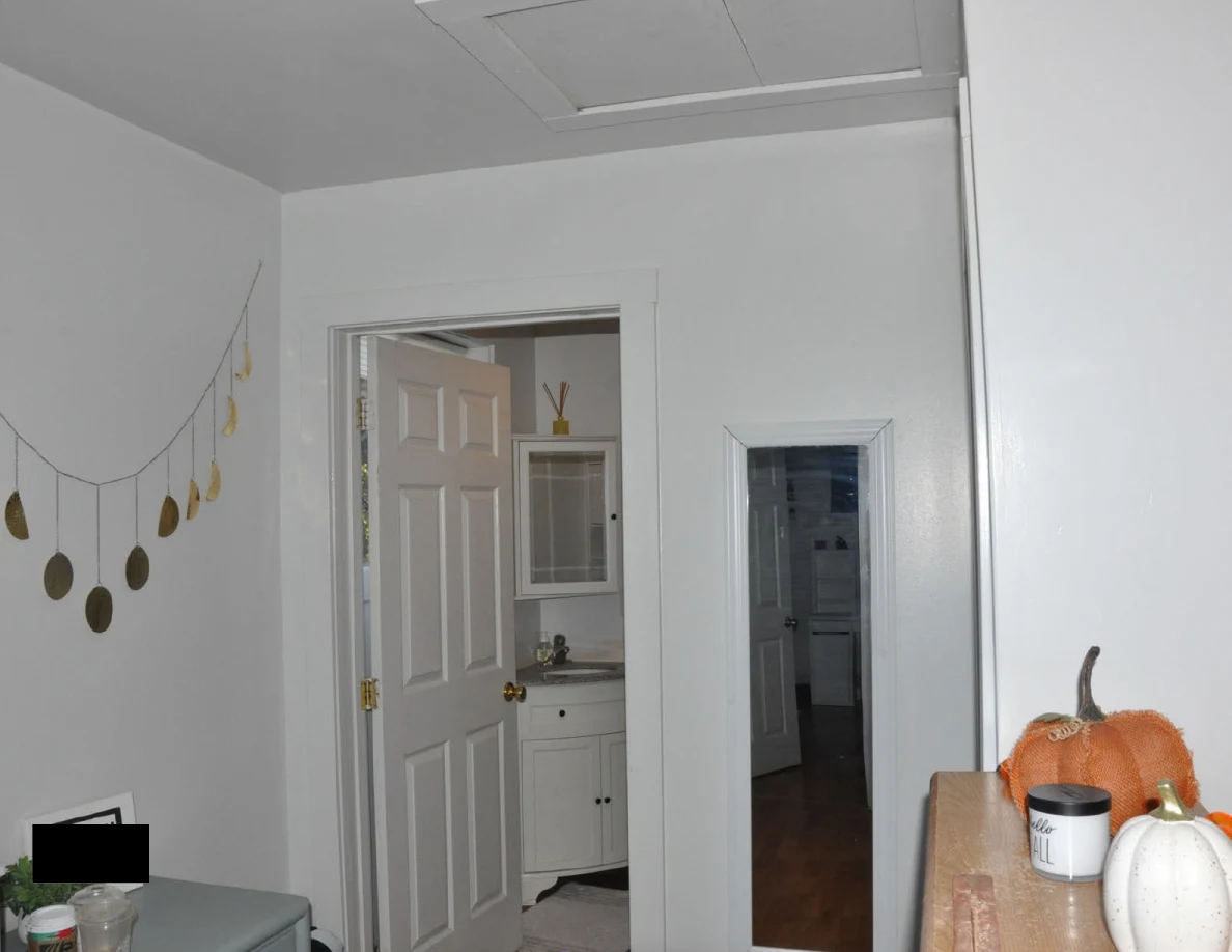 Landing wall with tall mirror, open bathroom door and ceiling hatch.