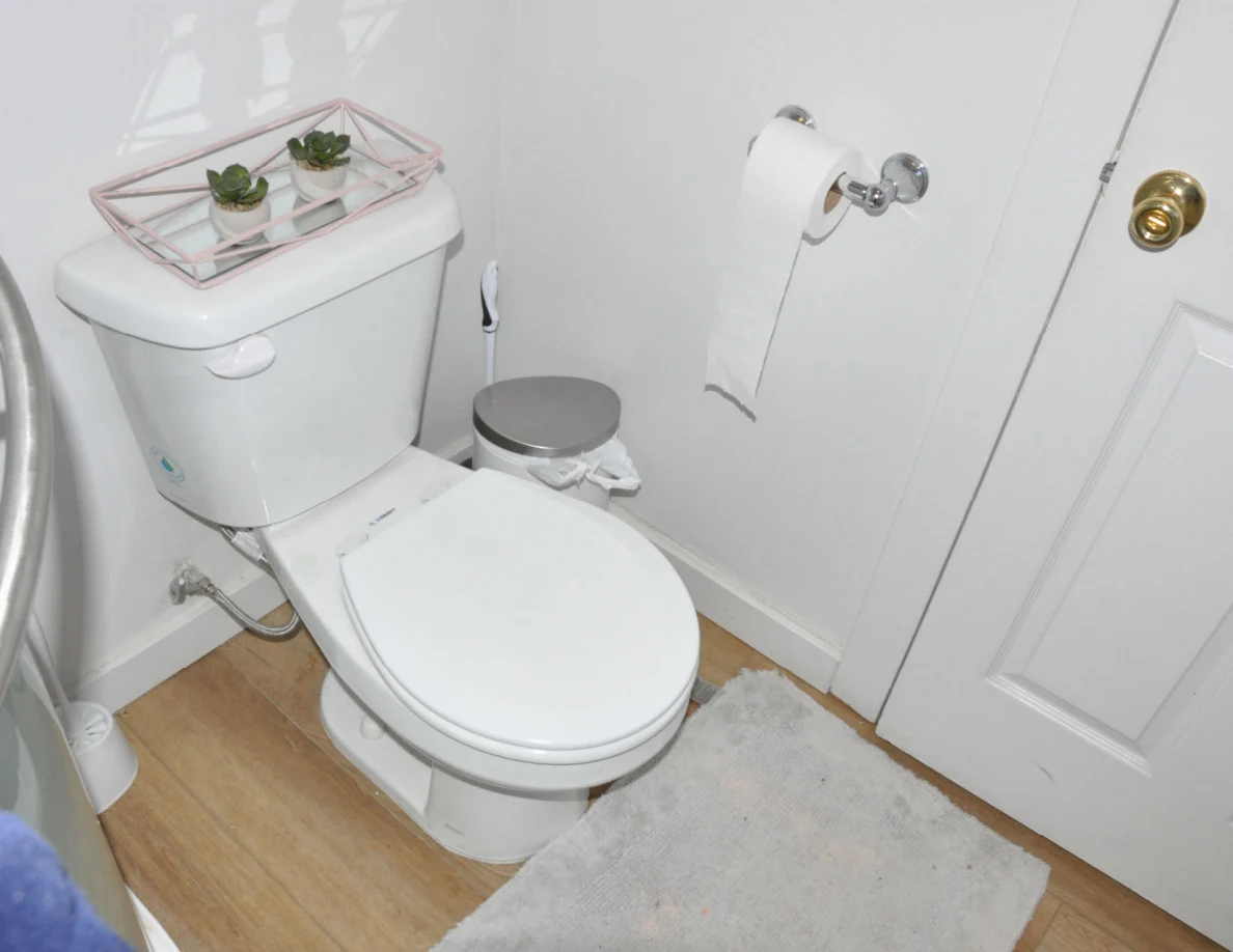 White toilet with decorative plant tray, small trash bin and pale floor mat.