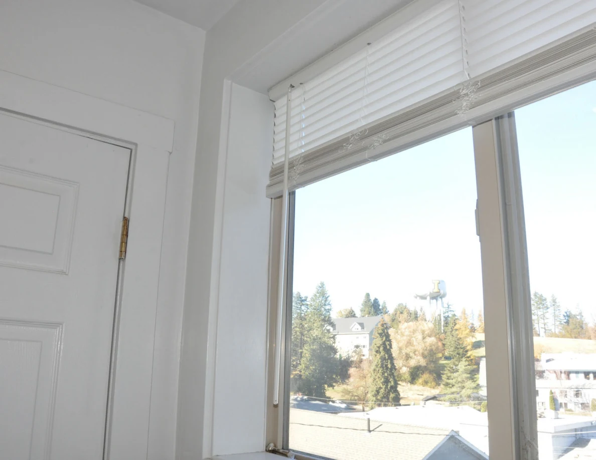 Bathroom window with raised white blind and distant buildings visible outside.