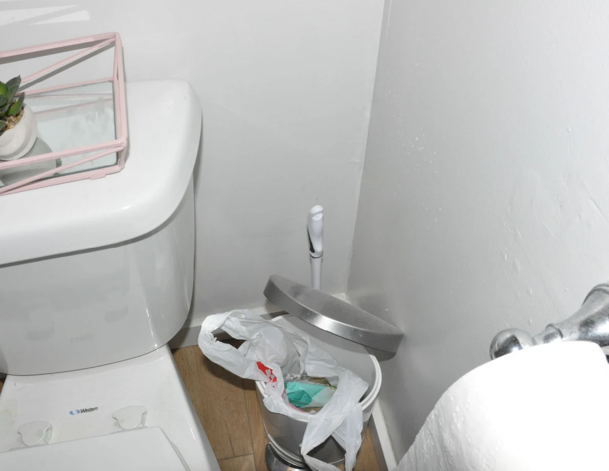 Open lined metal trash bin beside a toilet, toilet brush and toilet-paper holder.
