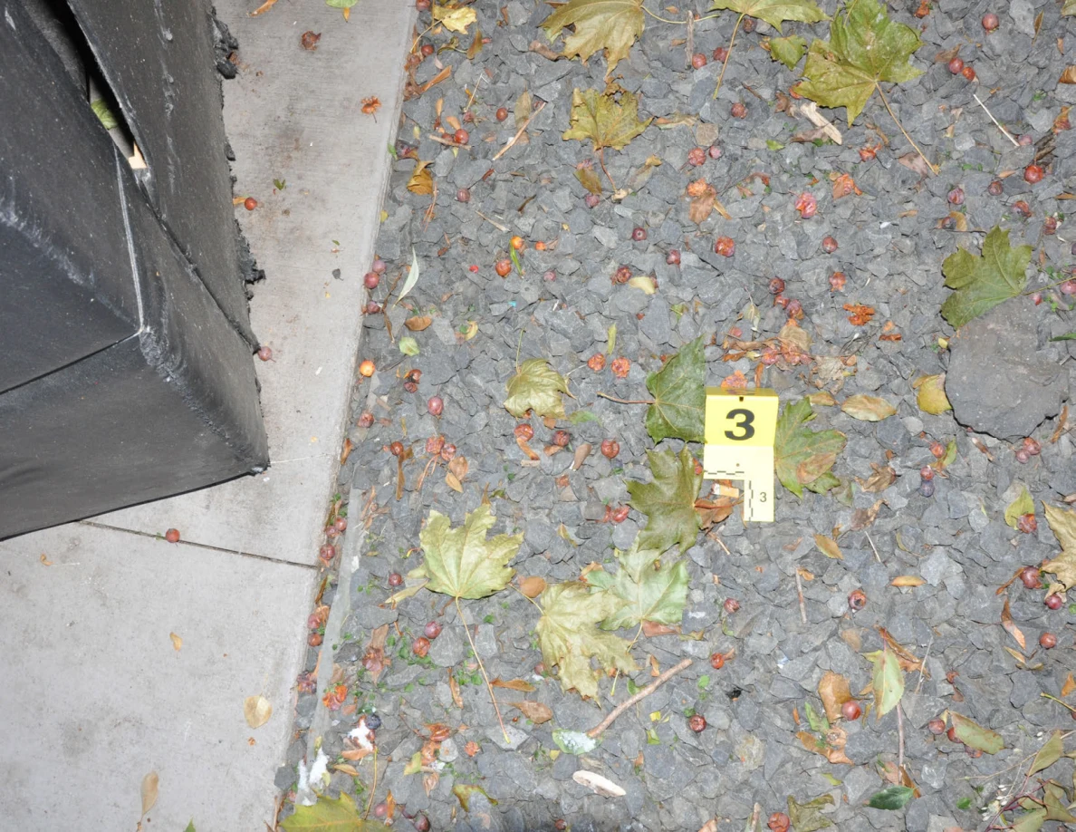Overhead view of gravel and leaves beside a sofa, with yellow marker 3.