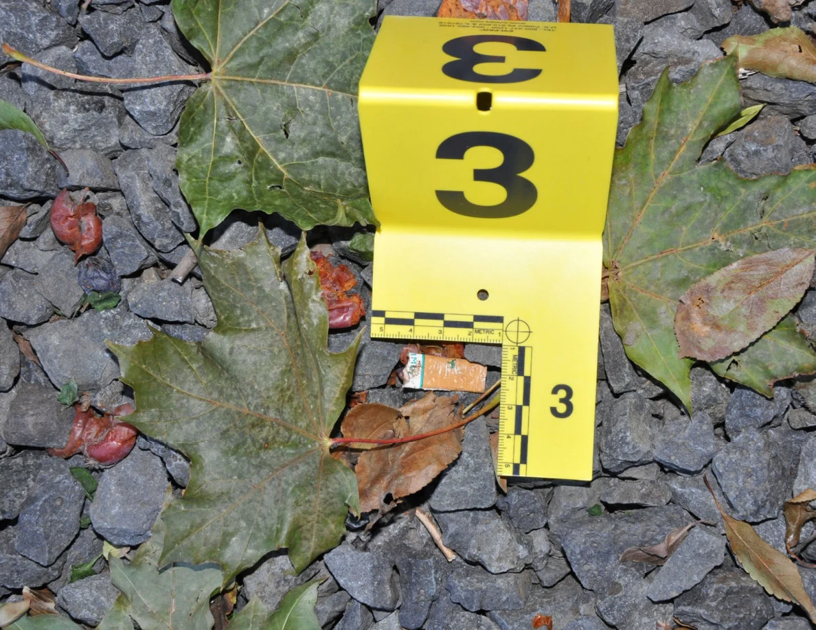Yellow marker 3 and an L-shaped ruler beside a small orange-and-white cylindrical fragment among leaves and gravel.