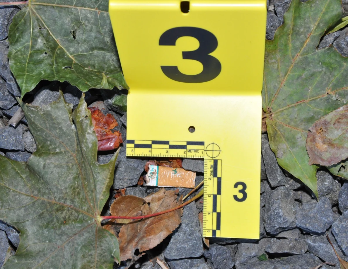 Close view of a small orange-and-white cylindrical fragment beside an L-shaped ruler and yellow marker 3 among leaves.