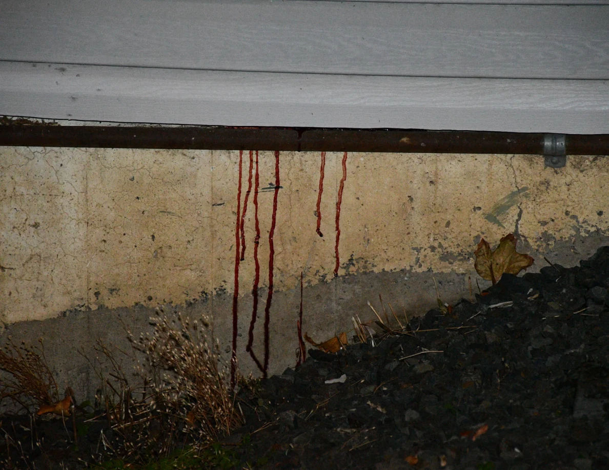 Close view of dark reddish streaks on a concrete foundation beneath gray siding and a pipe.