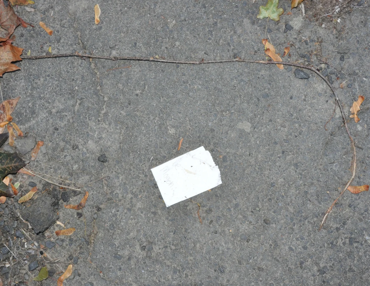 Close view of a white paper on pavement beside a long thin twig and fallen leaves.