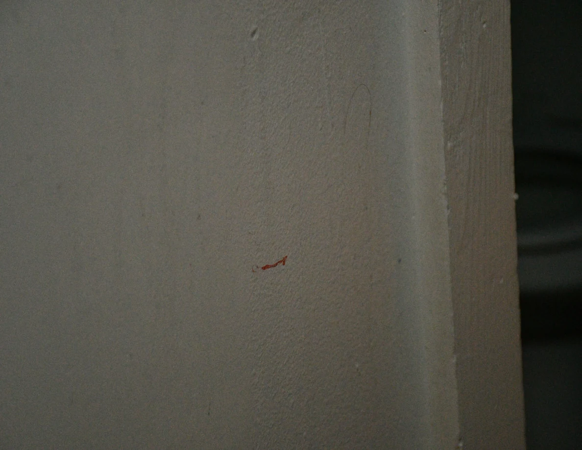 Small reddish mark on a pale textured wall near a corner.
