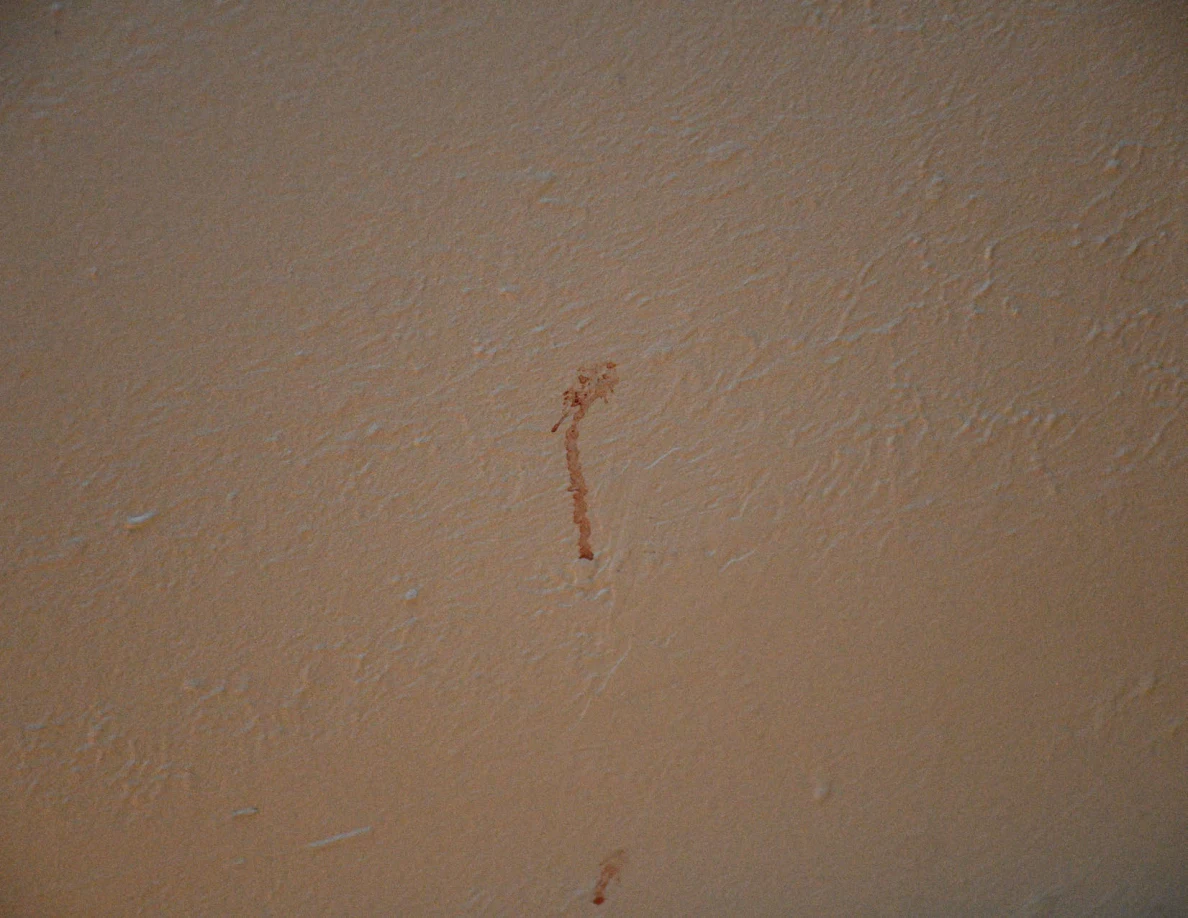 Close view of a small reddish vertical mark on a textured pale wall.