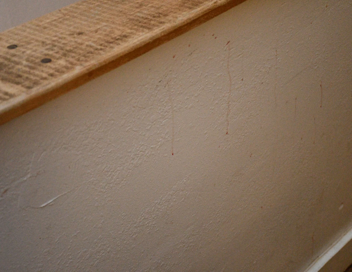Close view of faint reddish streaks on a pale half-wall beneath its wood cap.