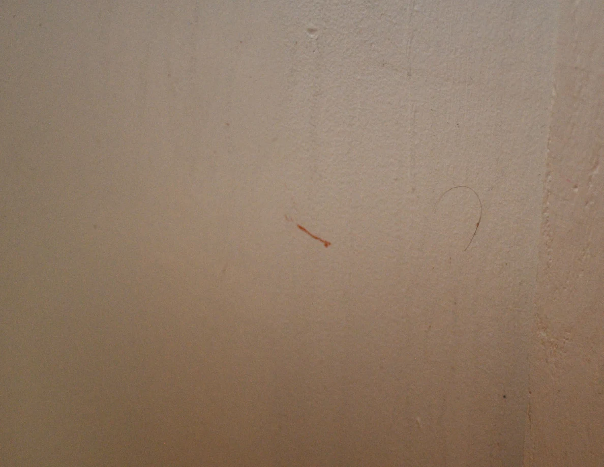 Close view of a short reddish streak on a pale wall beside a corner.