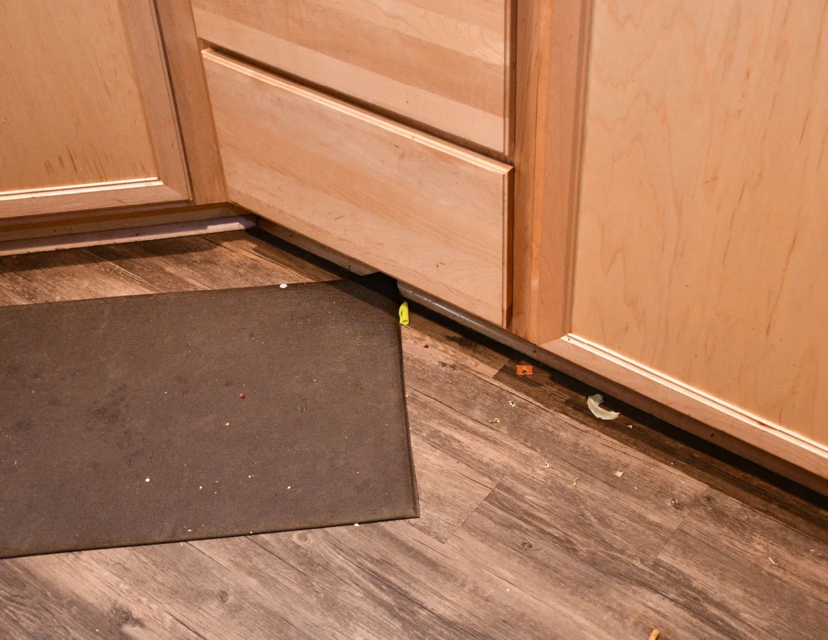 Lower kitchen cabinets beside a dark floor mat and wood-look flooring.