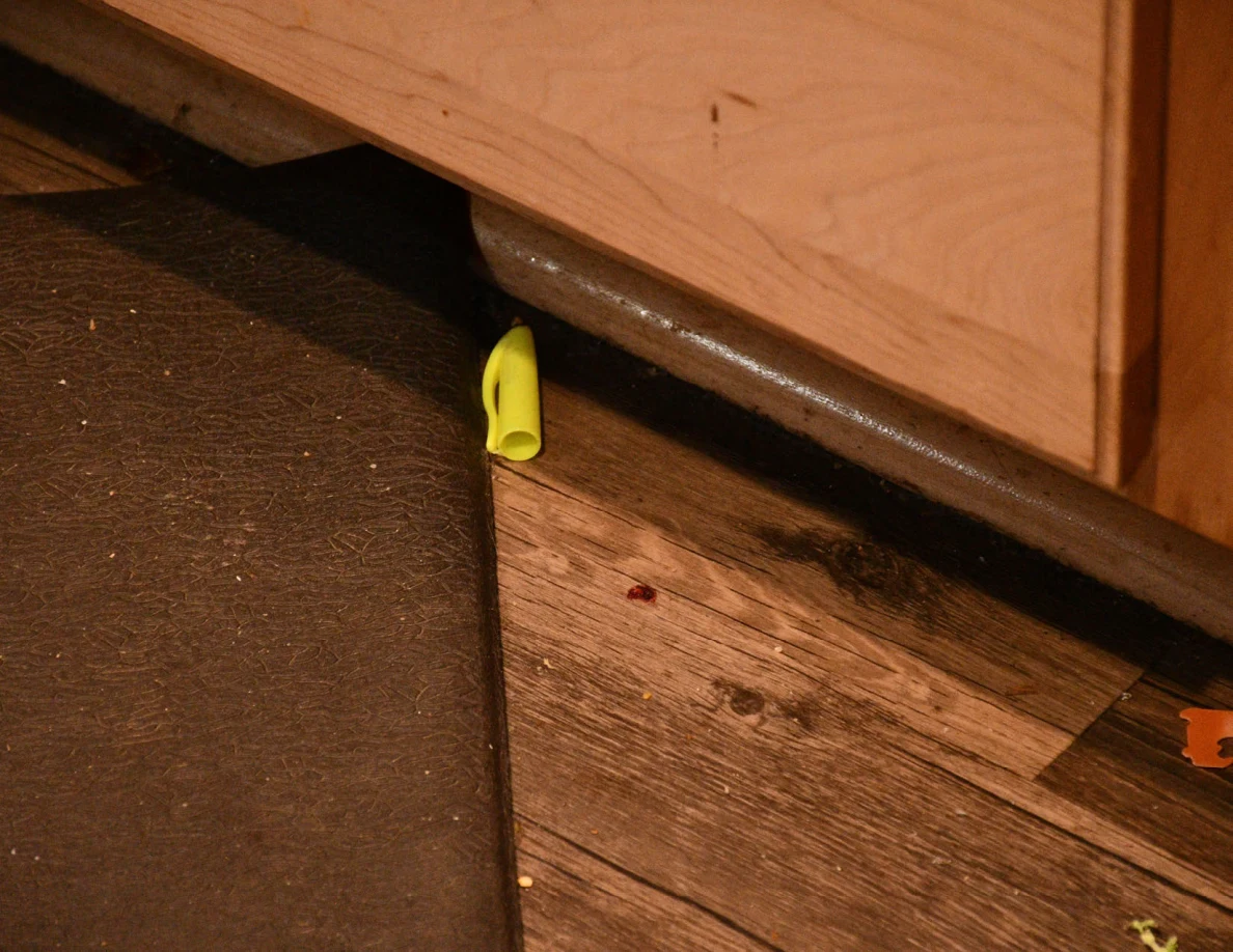 Small reddish spot on wood-look kitchen flooring beside a dark mat, wooden cabinet and green plastic item.