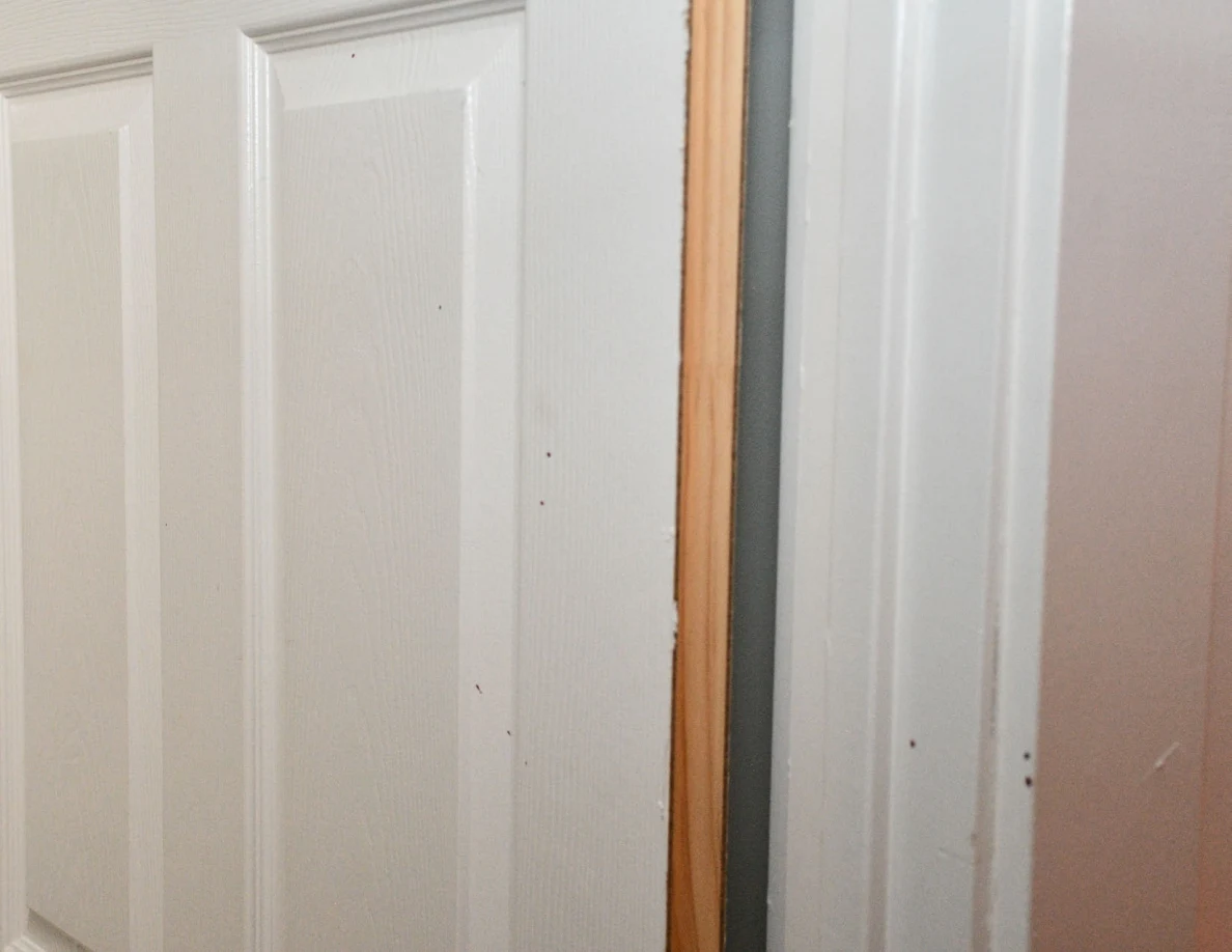 Close view of a white panel door edge and door frame with small dark reddish spots.