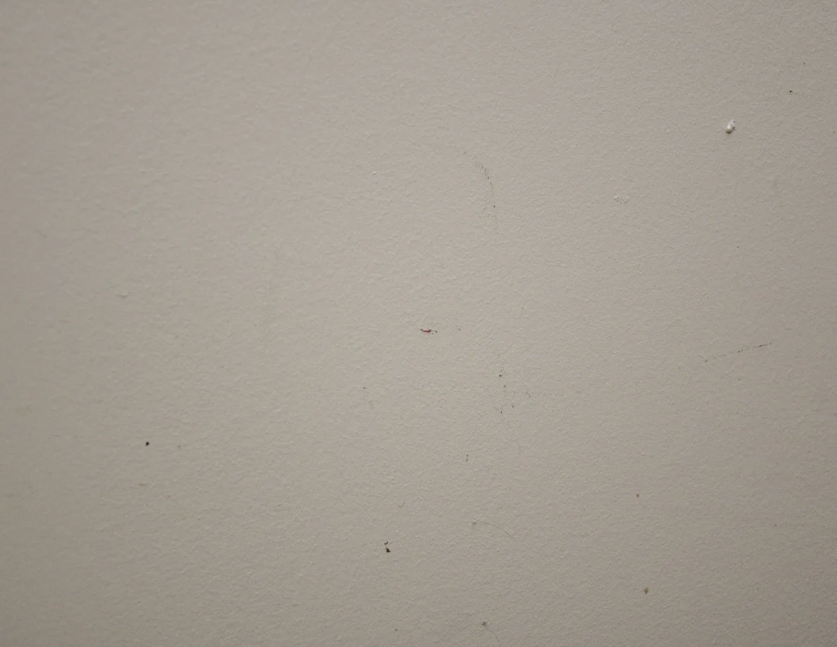 Close view of small dark and reddish spots on a pale textured wall.