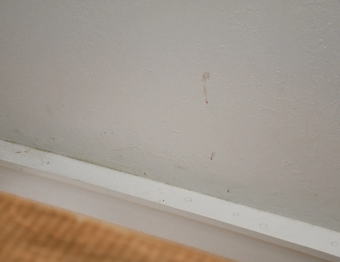 Small reddish vertical marks on a pale stairwell wall above white trim.