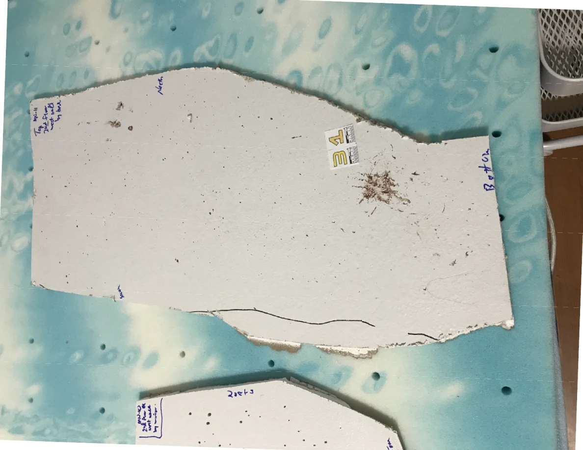 Irregular white wall-panel cutout with dark specks and a concentrated mark on a blue patterned surface.