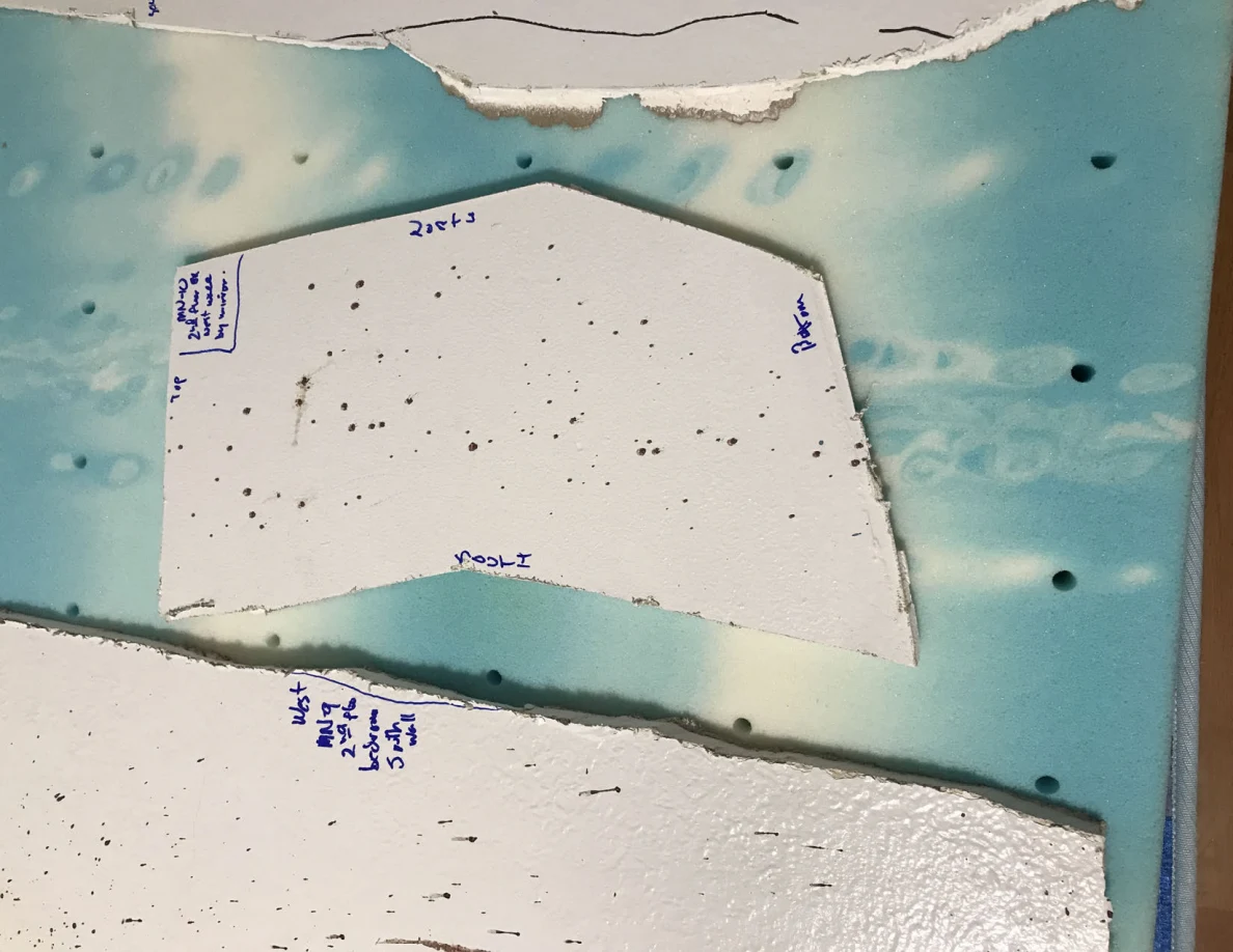 White wall-panel cutouts with dark specks and handwritten edge labels on a blue patterned surface.