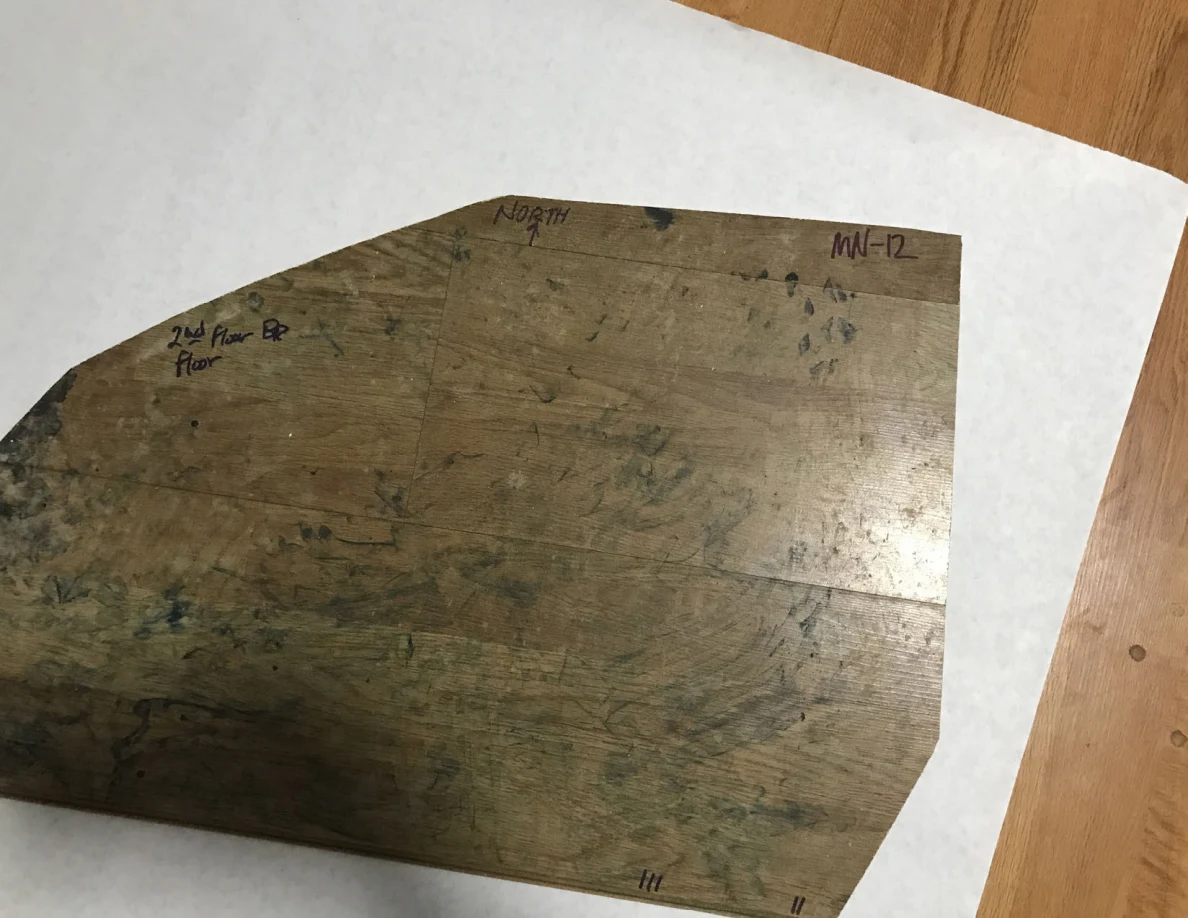 Irregular wooden panel with dark markings and handwritten edge labels on white paper.