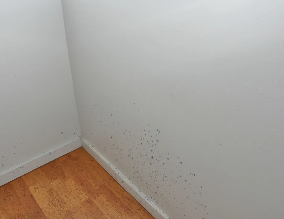 Lower stairwell wall with clusters of blue spots near the baseboard.