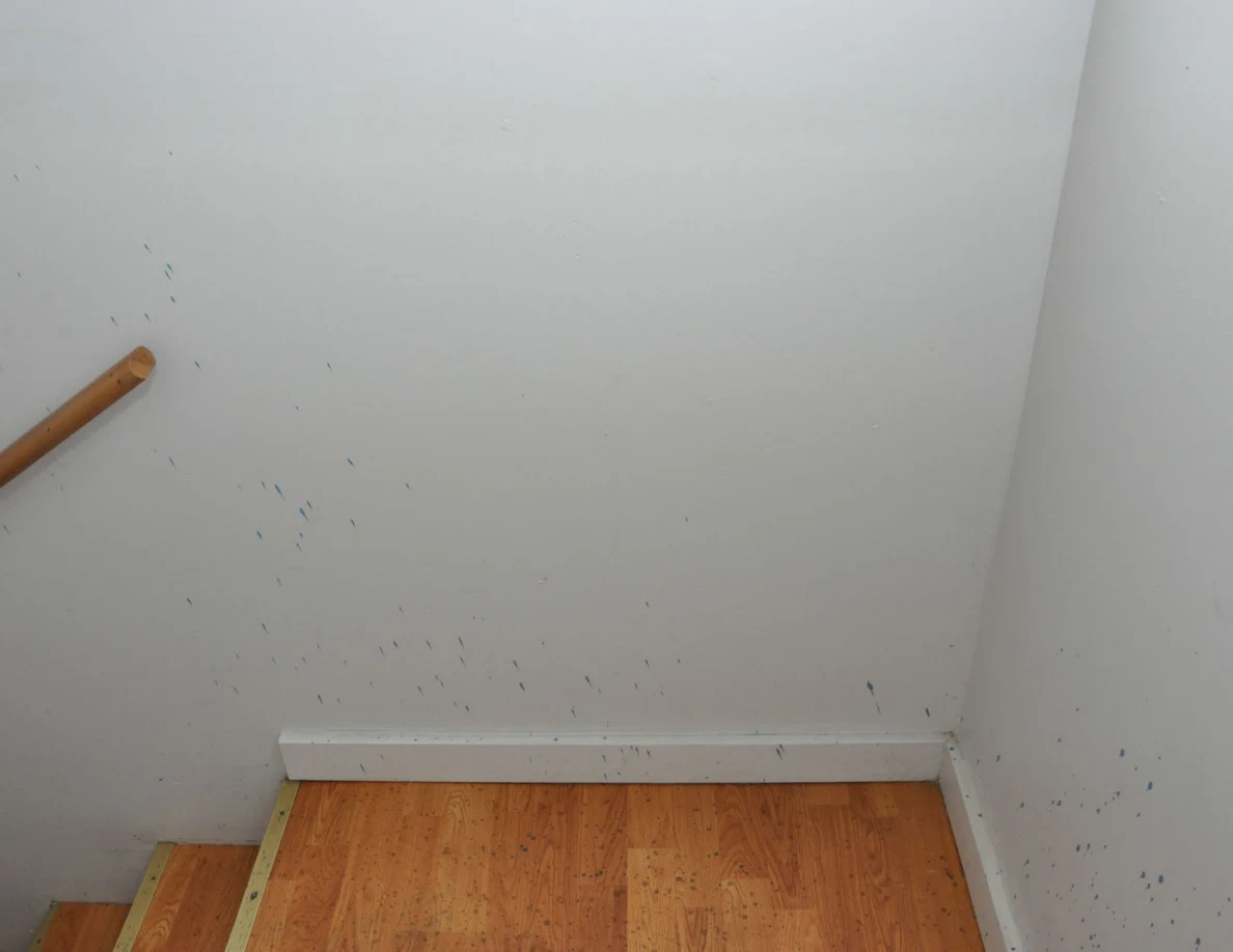 Stair landing and pale wall with scattered blue spots beside a wooden handrail.