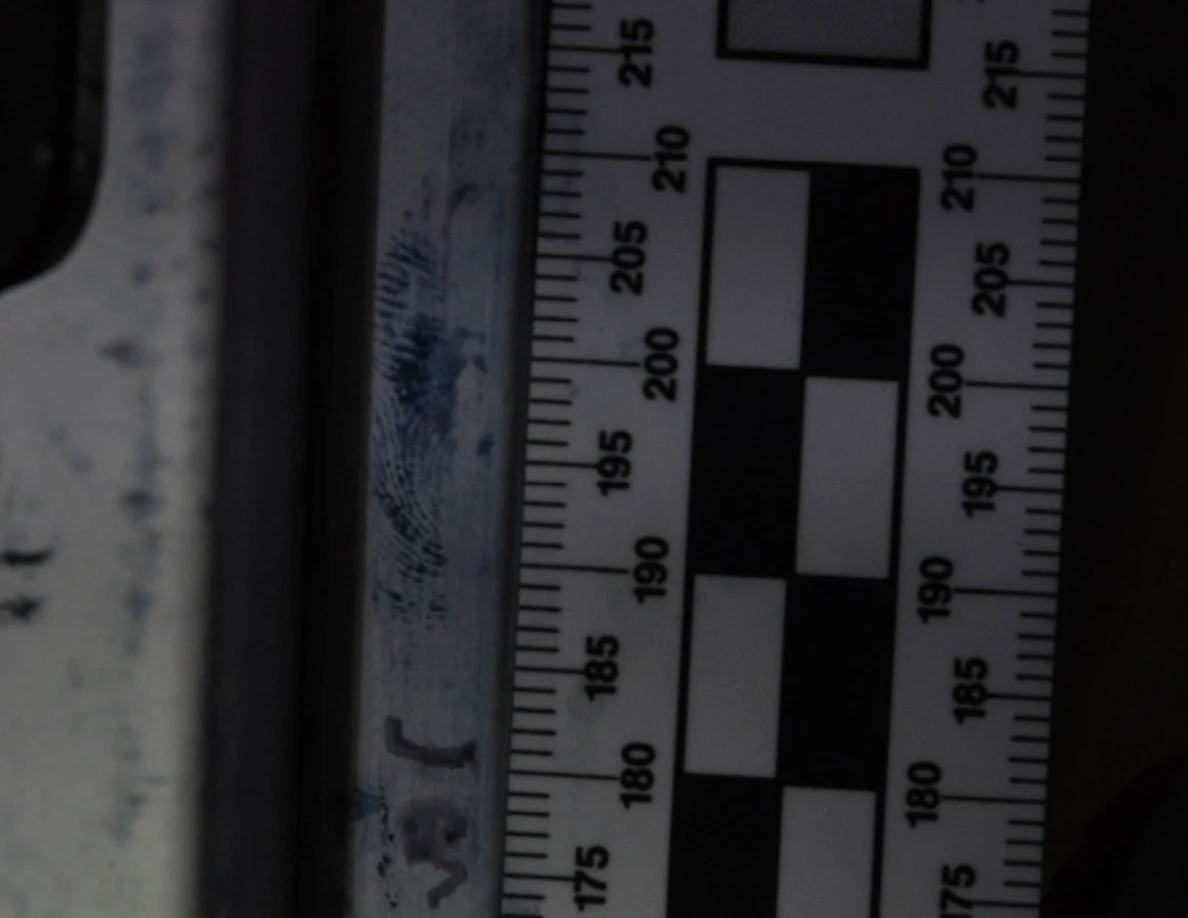 Close view of blue ridge-pattern marks on a door edge beside a measurement scale.