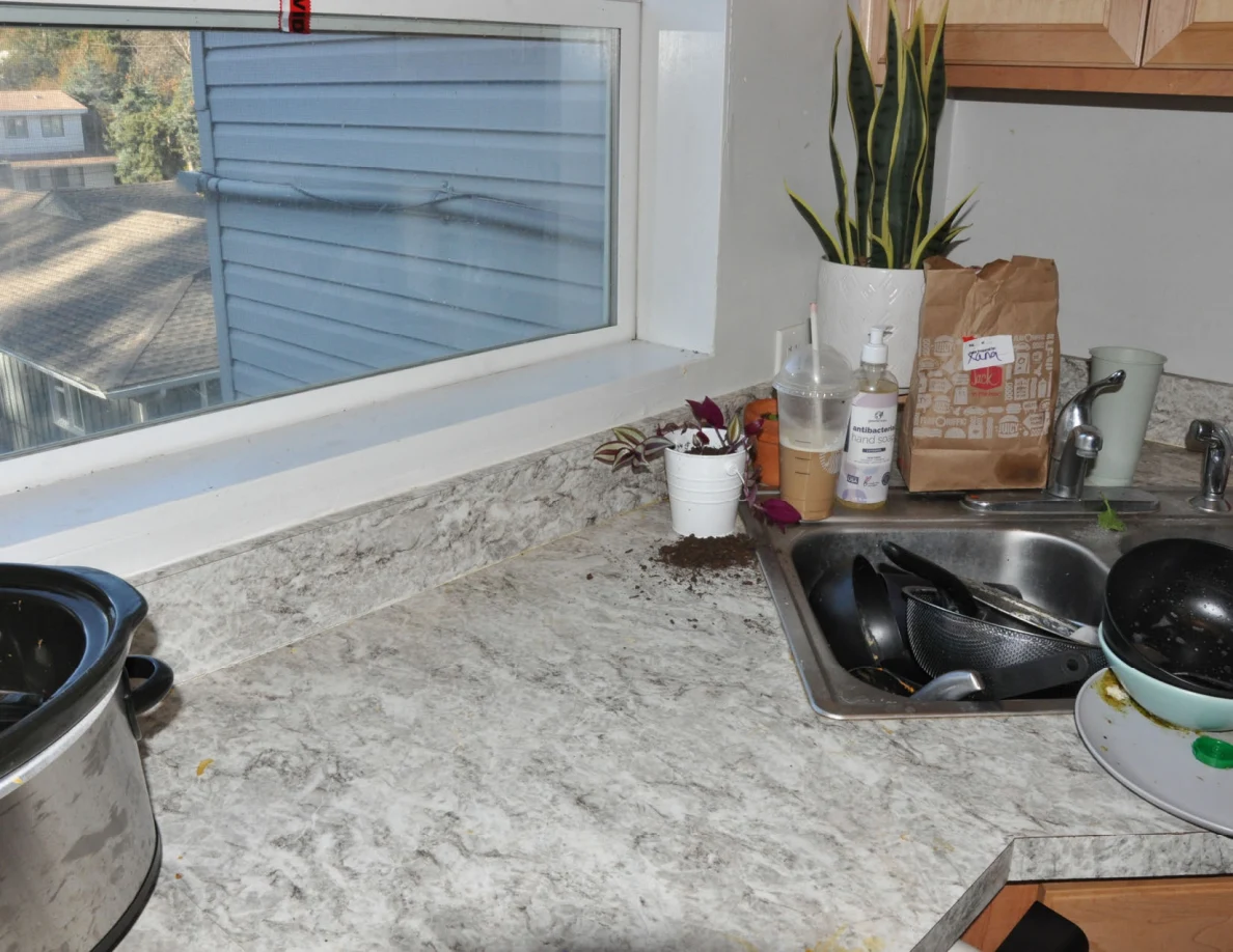 Kitchen window and sink with dishes, potted plant, bottles and a brown takeout bag.