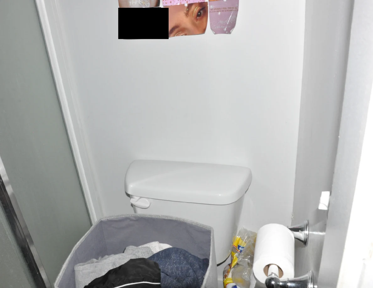 Toilet beneath a partly blacked-out wall collage, with fabric storage bin in front.