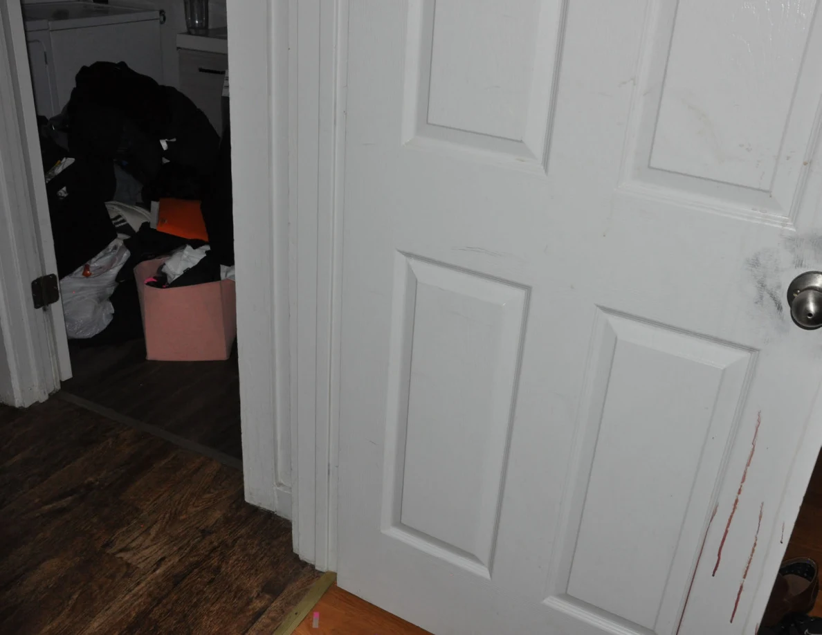 White panel door with long reddish streaks near its lower edge, beside a cluttered laundry room.