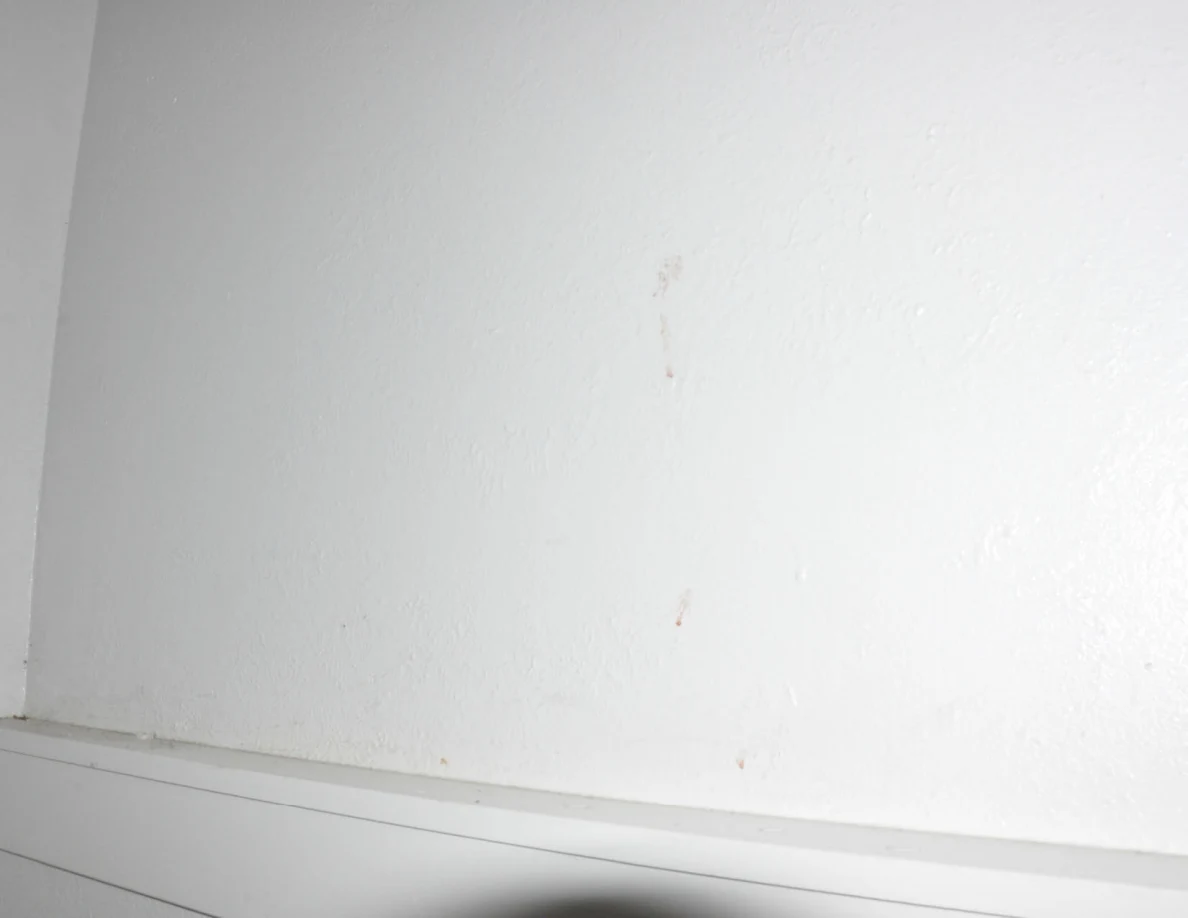 Pale stairwell wall with faint reddish vertical marks above white trim.
