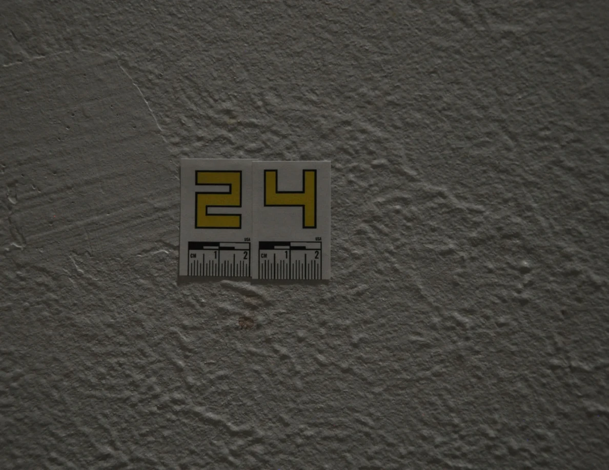 Close view of yellow label 24 on a textured wall under subdued lighting.
