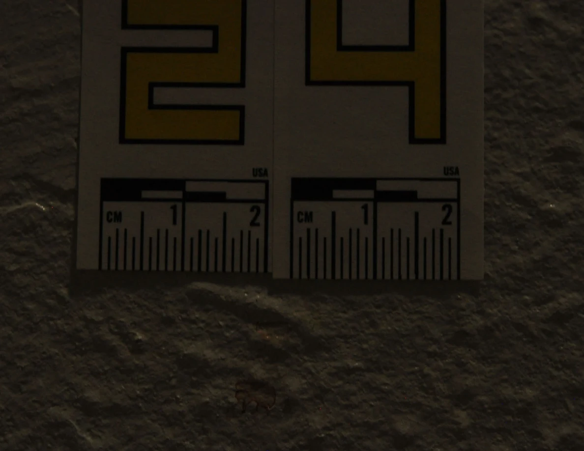 Very close dim view of label 24 and measurement markings on a textured wall.