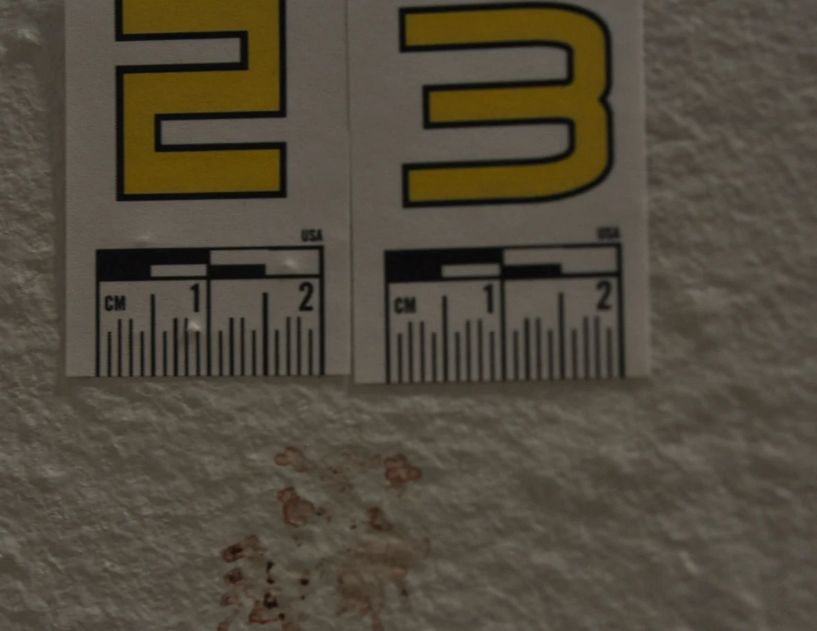 Close view of label 23 above a cluster of reddish marks.