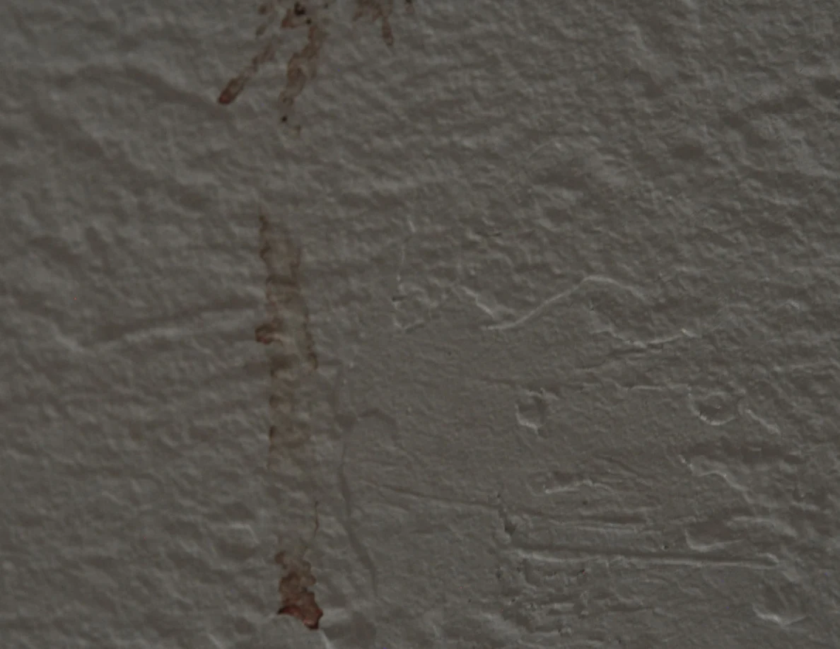 Very close view of a reddish vertical streak on a textured wall.