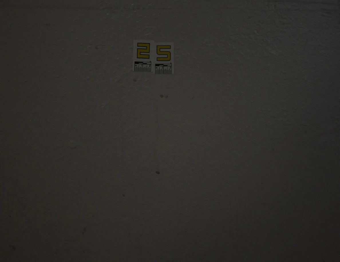 Closer dim view of label 25 above several reddish spots.