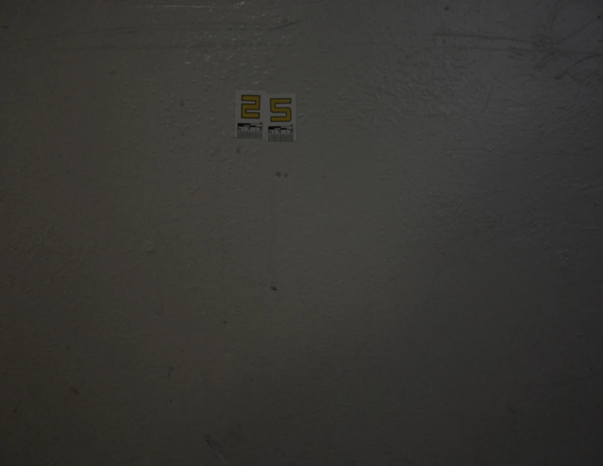 Label 25 above a faint vertical streak and several small reddish spots.