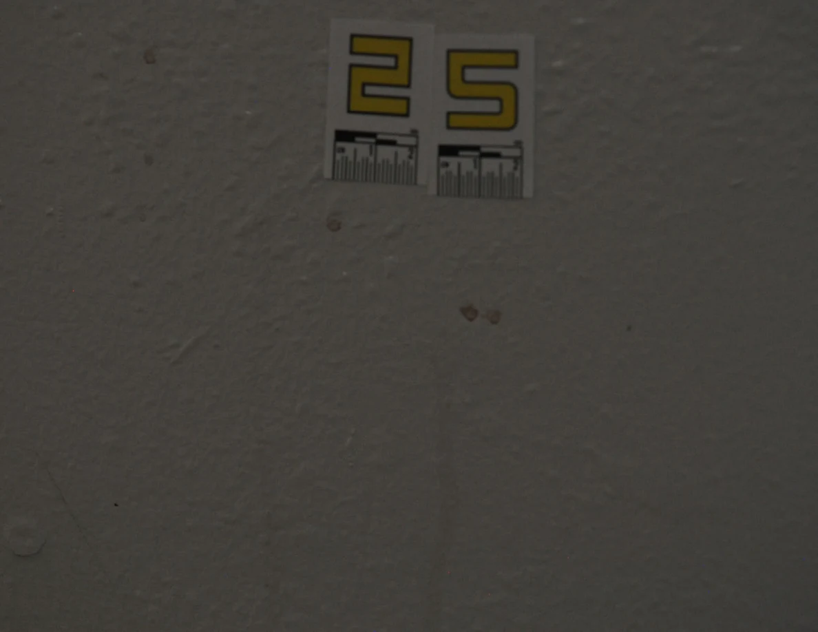 Closer view of label 25 and small reddish spots under subdued lighting.