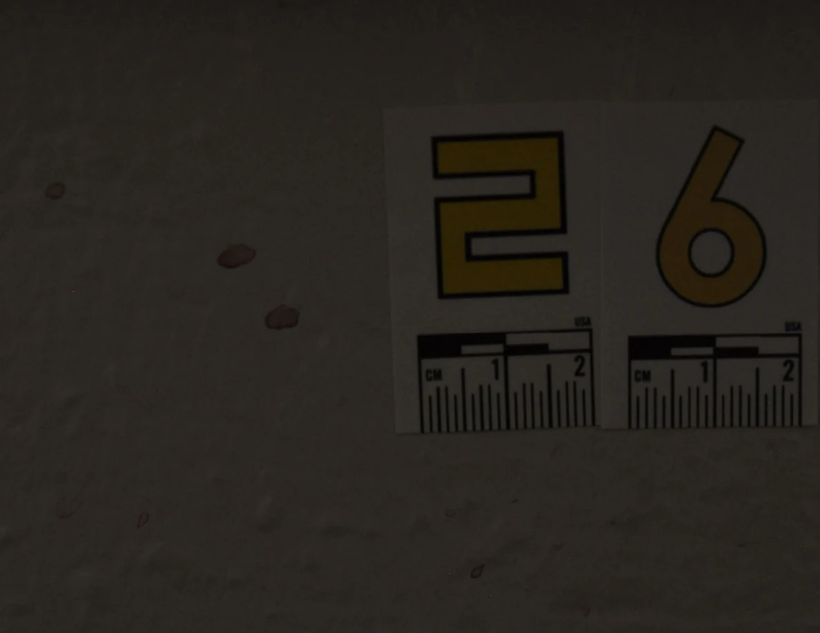 Close view of label 26 beside small reddish spots.