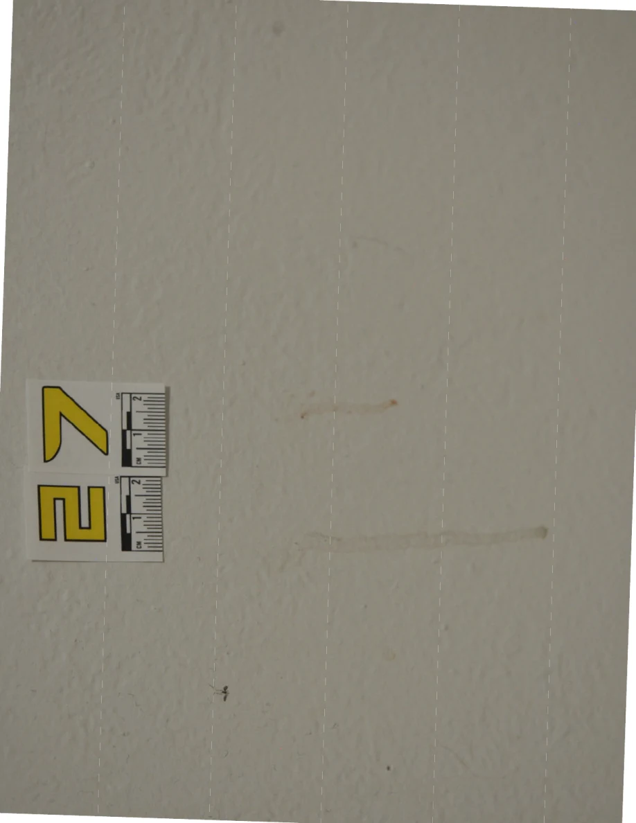 Rotated photograph of label 27 beside two thin tan-colored streaks on a wall.