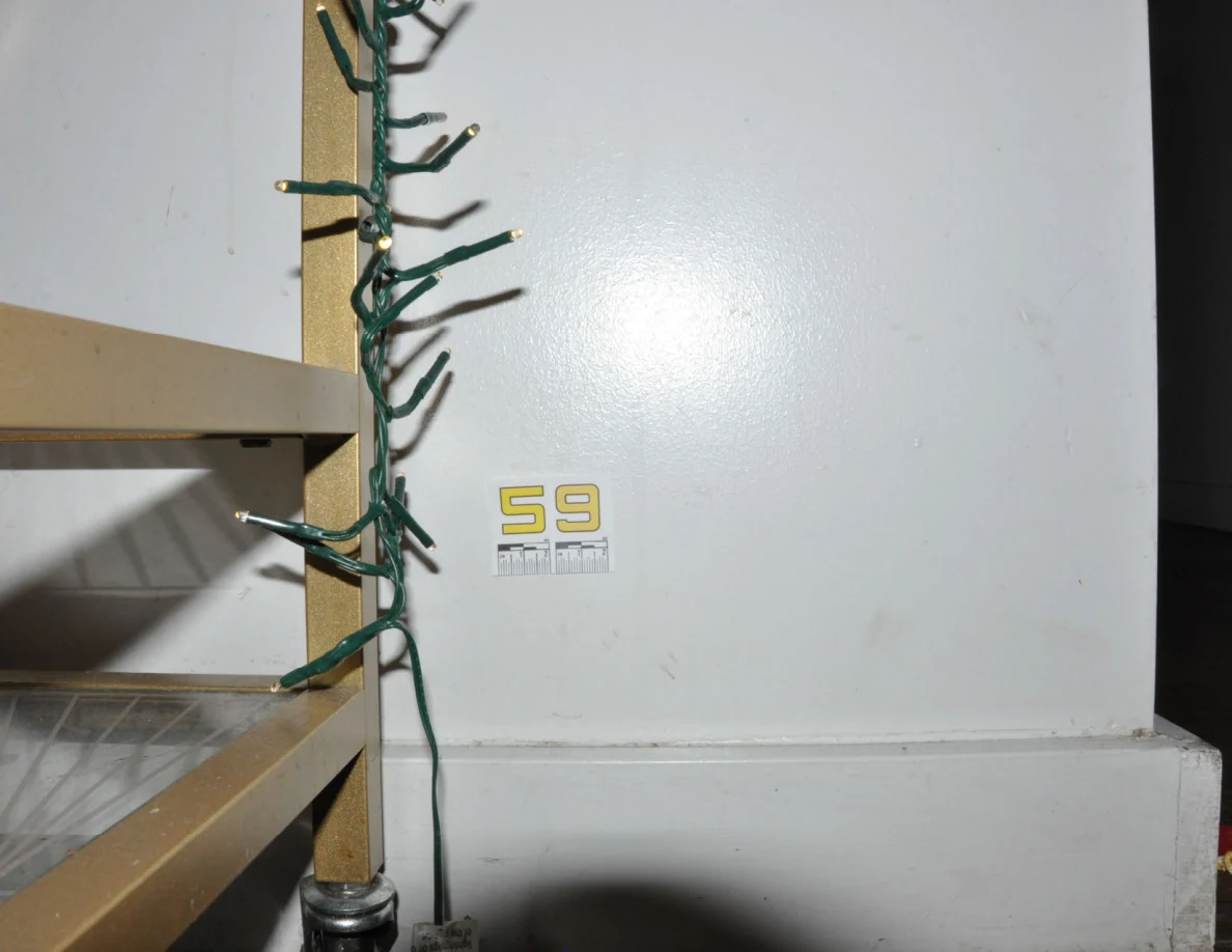 Yellow label 59 on wall beside gold cart frame wrapped in string lights.