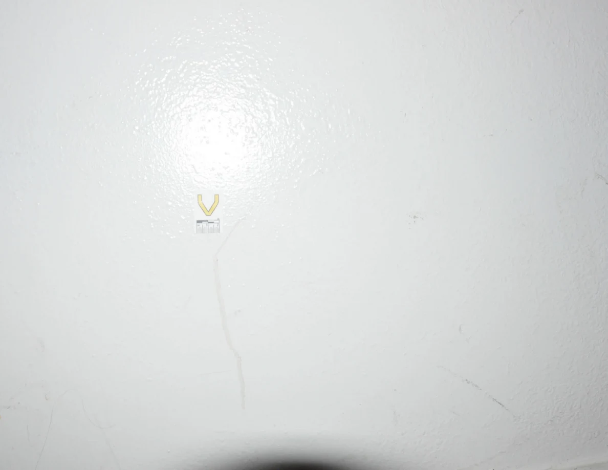 Label V above a faint tan streak on glossy pale paint.