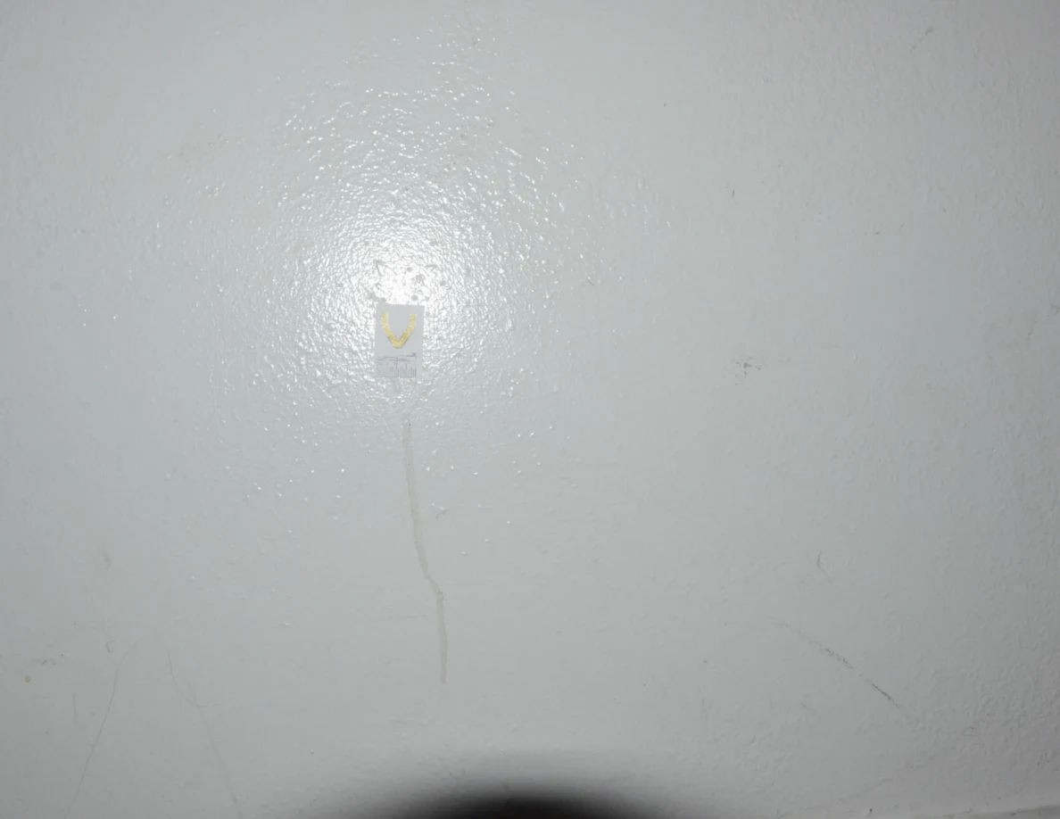 Close view of label V and a thin winding tan streak on a wall.