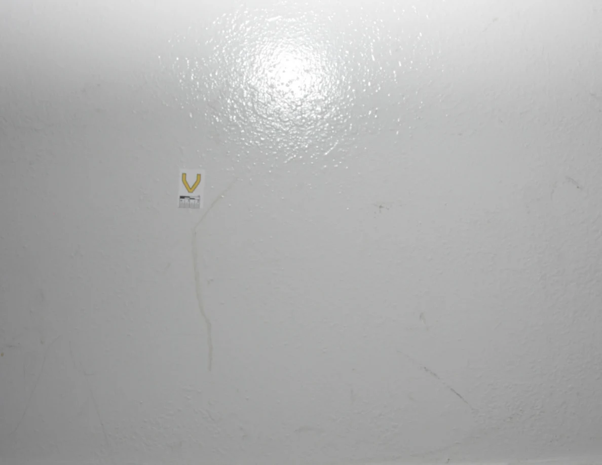 Bright view of label V and a narrow tan streak below.