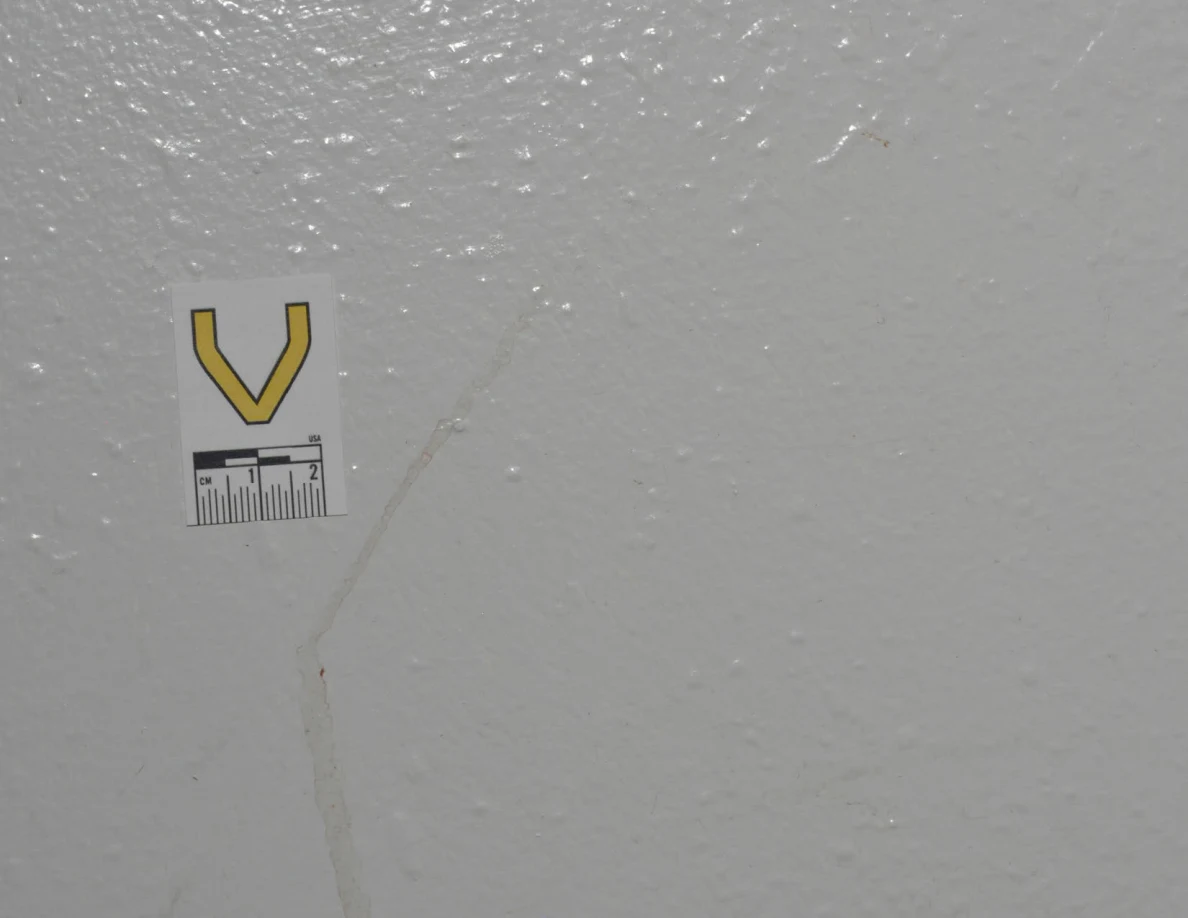 Close view of label V beside a faint angled tan streak.