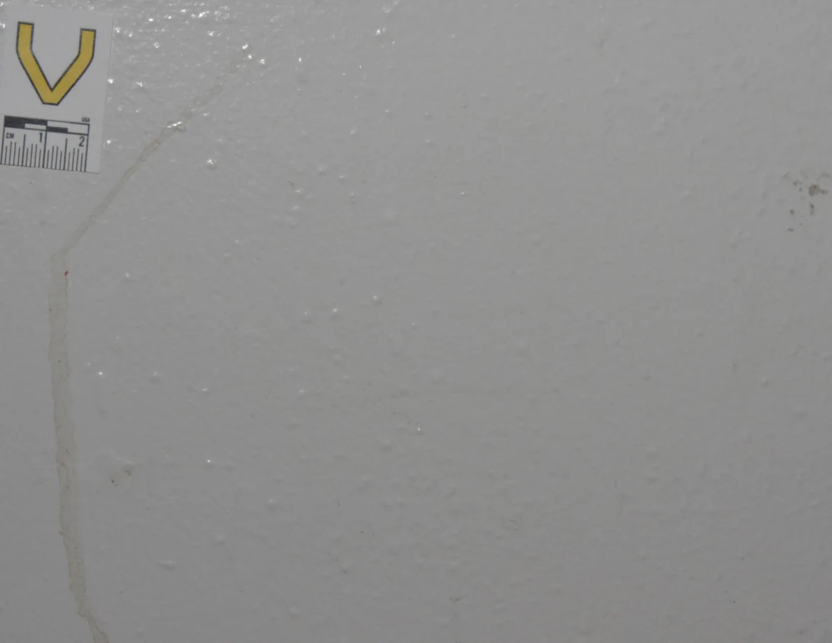 Closer view of a faint tan streak beside a cropped label V.