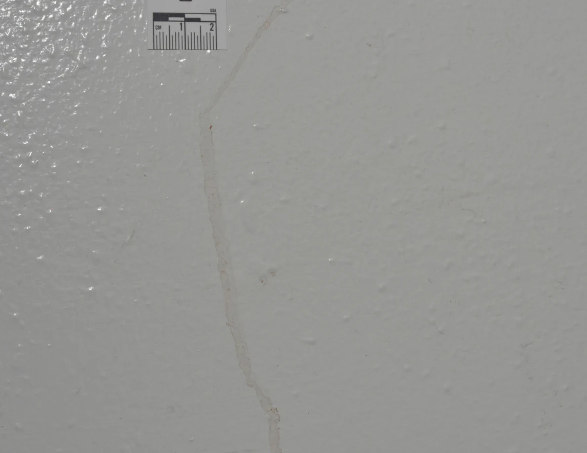 Long faint tan streak below the edge of a measurement label.