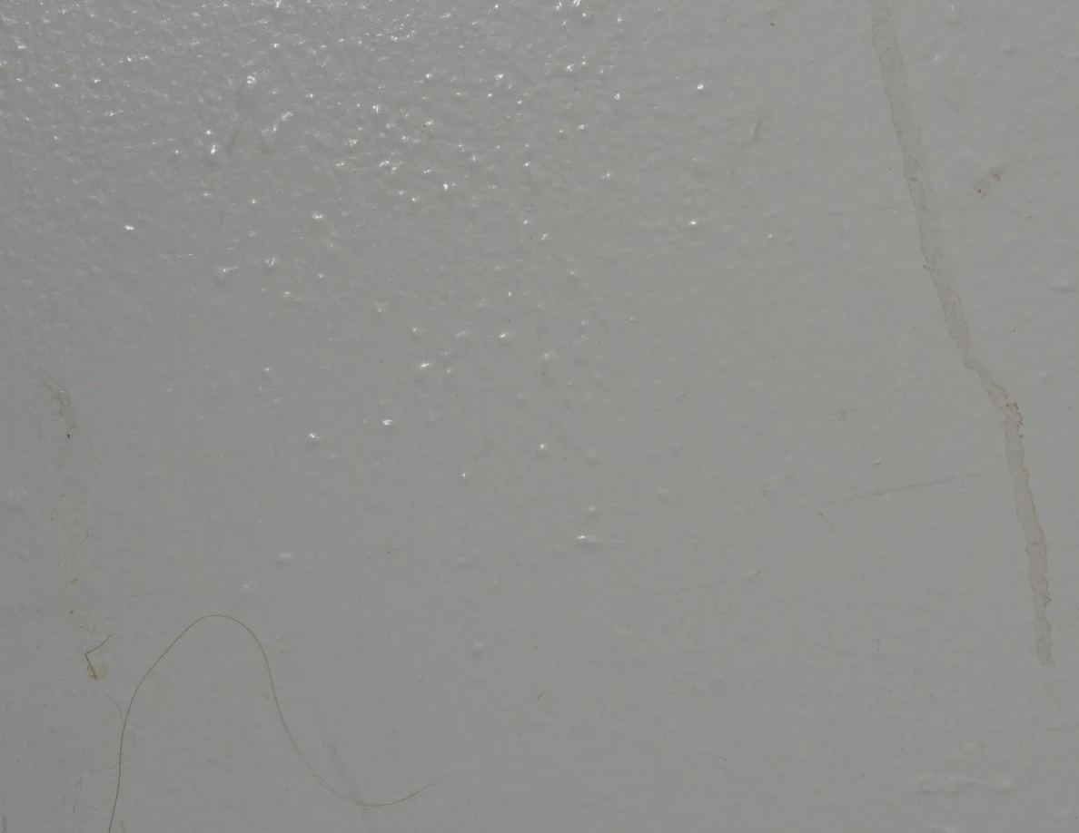 Close view of faint tan wall streaks and a curved strand near the lower edge.