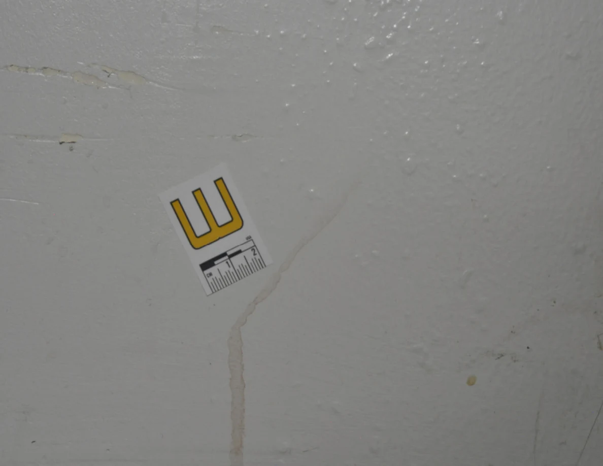 Label W beside a thin winding tan streak on pale paint.