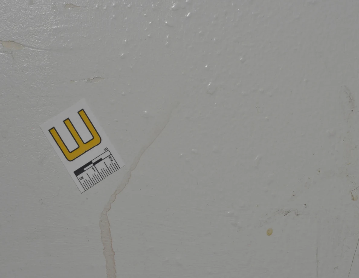 Closer view of label W and a narrow tan streak.